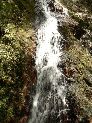 f0219710_8164937.jpg