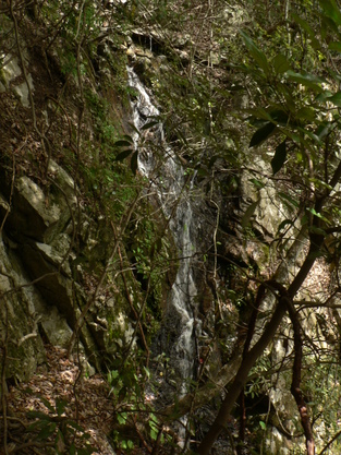f0219710_8193099.jpg