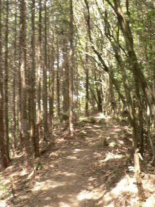 f0219710_832015.jpg