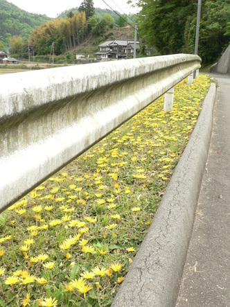 f0219710_8394529.jpg