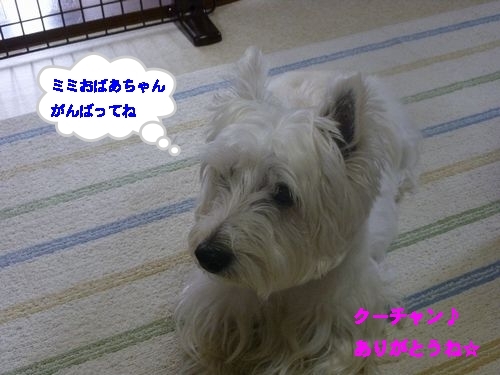 a0161111_20244933.jpg