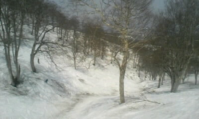 c0175712_613937.jpg