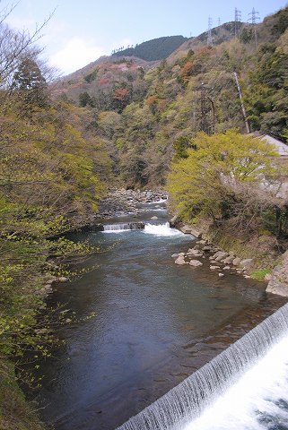 a0036513_213853.jpg