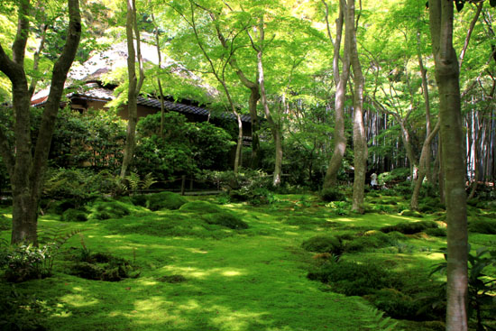 祇王寺 新緑_e0048413_17394229.jpg