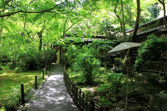 祇王寺 新緑_e0048413_17404035.jpg