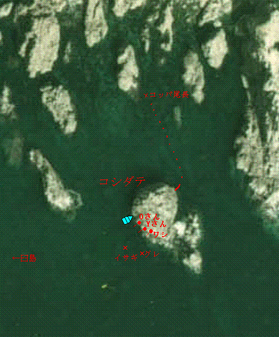 a0030715_1514487.gif