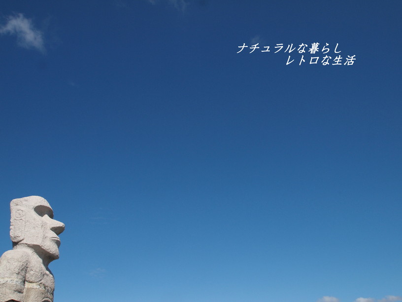 e0113915_8271086.jpg