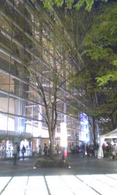 a0011716_955535.jpg