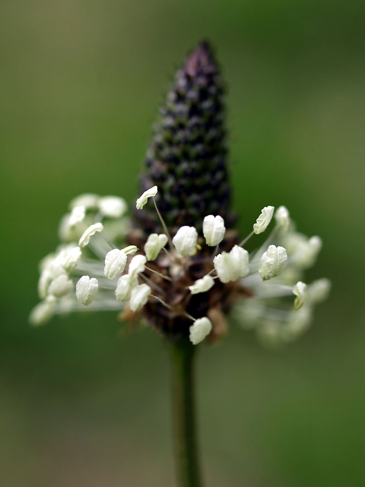 c0145418_1741492.jpg