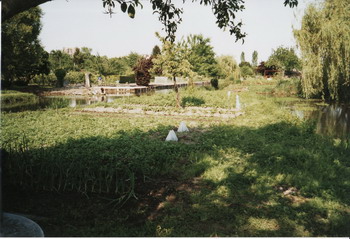 c0124619_23511469.jpg