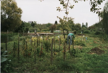 c0124619_23532940.jpg