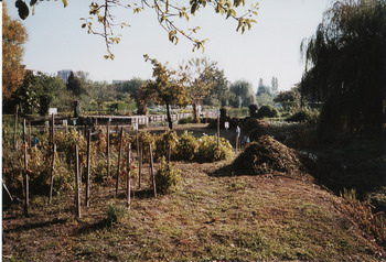 c0124619_23543919.jpg