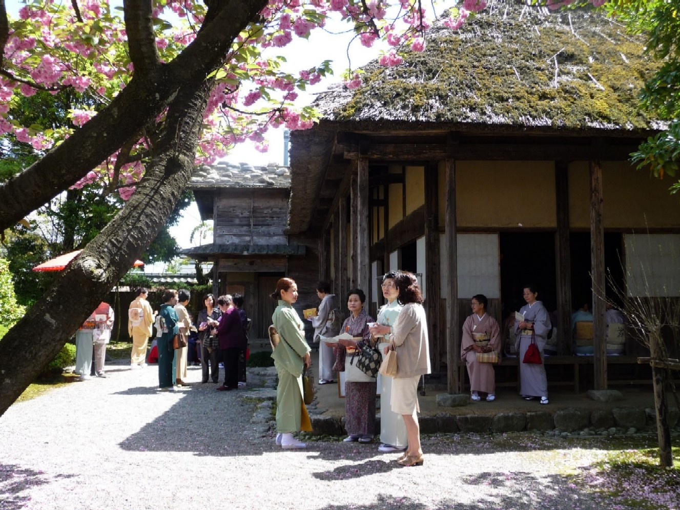 お茶会日和_e0135219_9541995.jpg