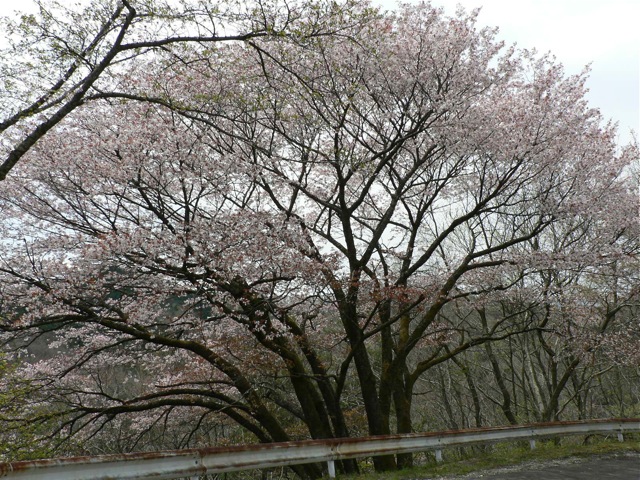 f0143119_19123728.jpg