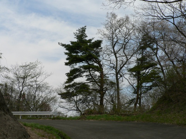 f0143119_19135527.jpg