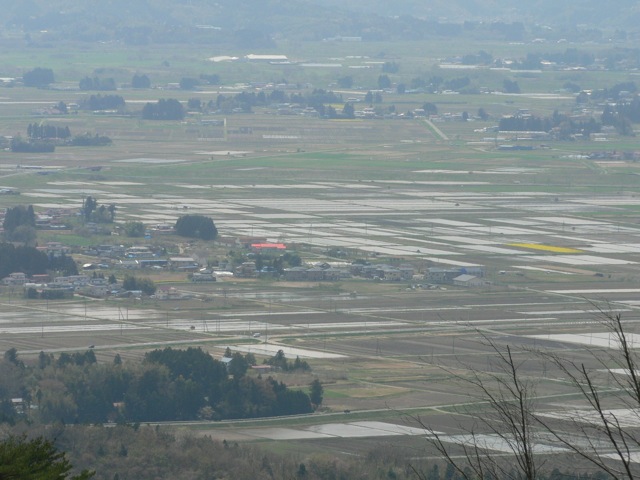 f0143119_1993387.jpg