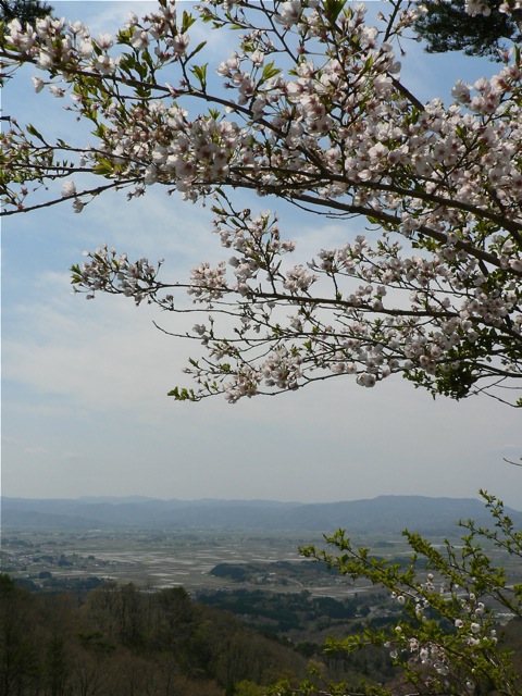 f0143119_1995416.jpg