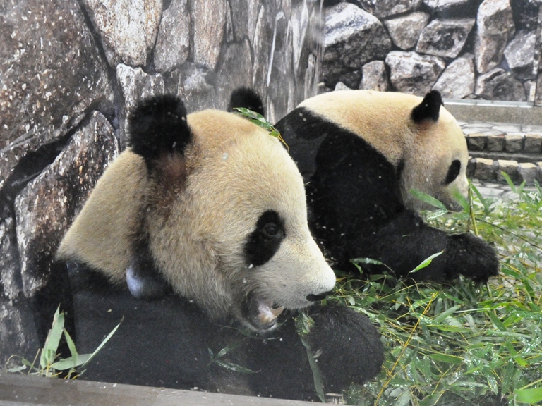 d0072521_22215684.jpg