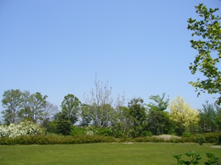 f0143521_0261217.jpg