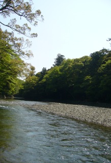 f0143521_0345625.jpg