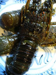 f0143521_1123387.jpg