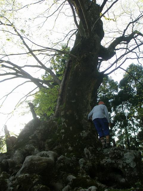 b0138522_23592772.jpg