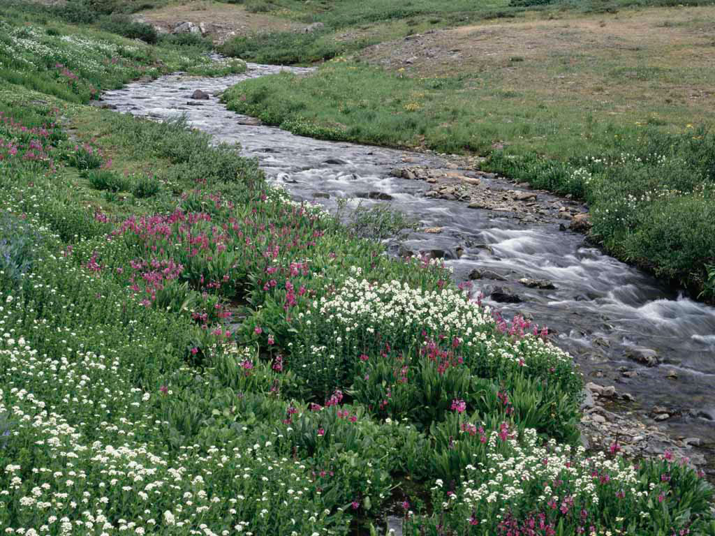 d0150722_044032.jpg