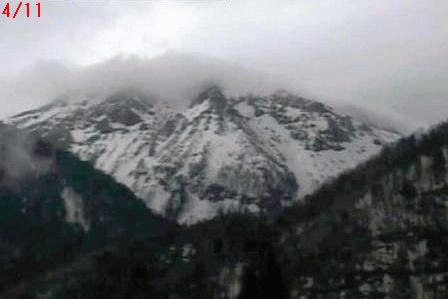 a0097823_8141025.gif
