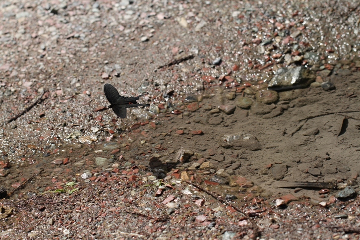 b0146723_16381362.jpg