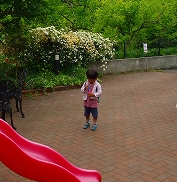 f0037623_16421385.jpg