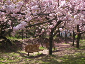 b0147224_20233421.jpg