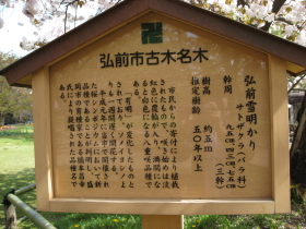 b0147224_20253315.jpg