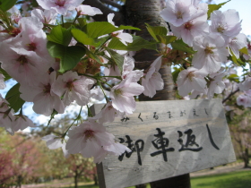 b0147224_20293212.jpg