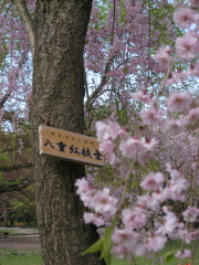 b0147224_20443053.jpg