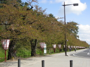 b0147224_2085024.jpg