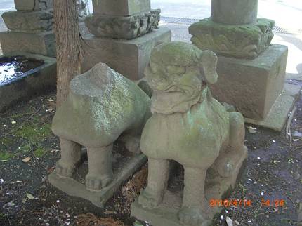 野田・愛宕神社の狛犬_d0065324_20185352.jpg