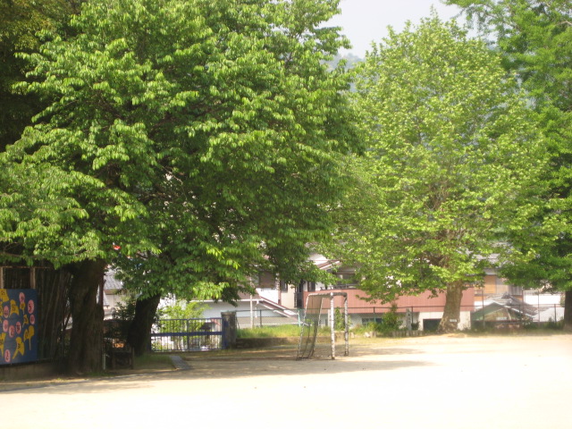 d0147727_1857415.jpg