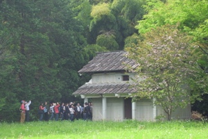 b0186729_1311157.jpg