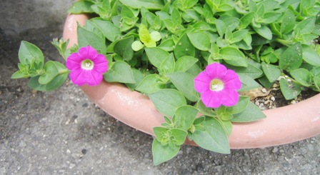 c0118235_2122252.jpg