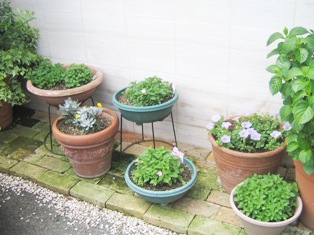 c0118235_2131041.jpg