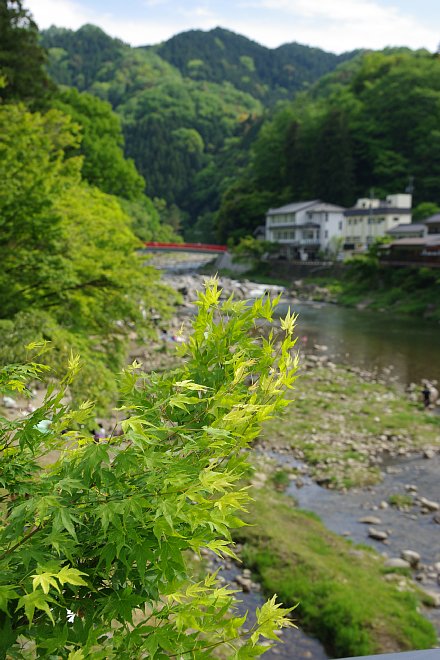 e0171336_1445150.jpg