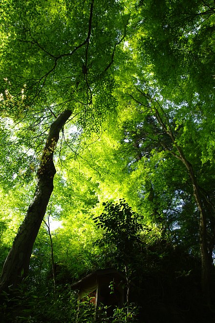 e0171336_2185991.jpg