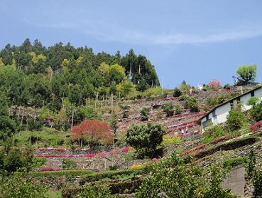e0146338_10512999.jpg