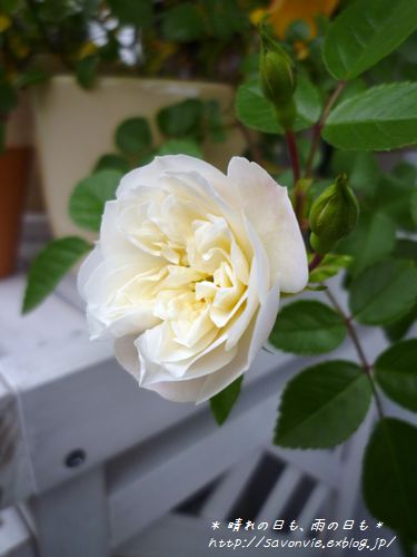 c0193639_1931683.jpg
