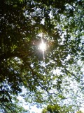 b0075140_010879.jpg