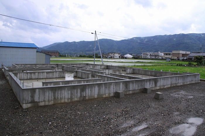 b0168041_2044558.jpg