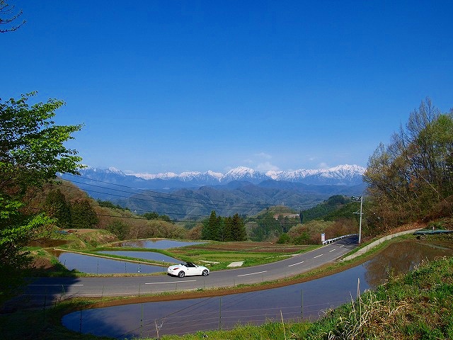 a0106043_12464558.jpg