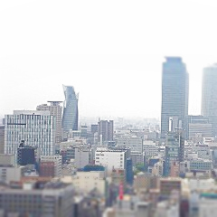 c0012043_23242584.jpg