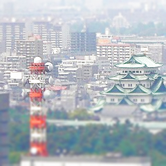 c0012043_23243898.jpg