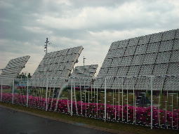 e0111346_238224.jpg